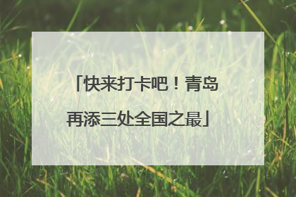 快来打卡吧！青岛再添三处全国之最