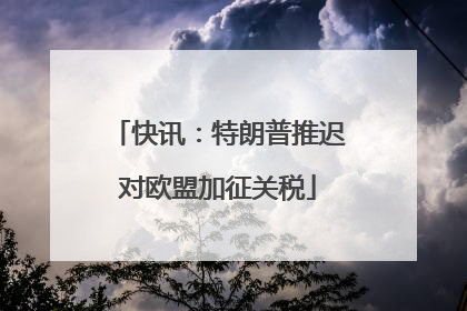 快讯：特朗普推迟对欧盟加征关税