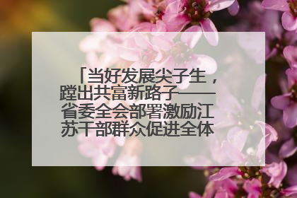 当好发展尖子生，蹚出共富新路子——省委全会部署激励江苏干部群众促进全体人民共同富裕