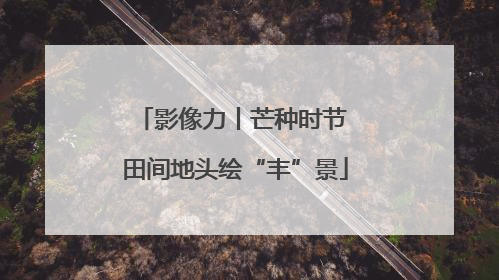 影像力丨芒种时节 田间地头绘“丰”景