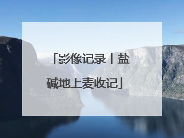 影像记录丨盐碱地上麦收记