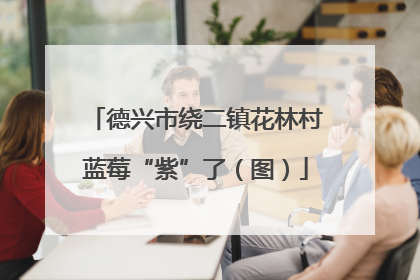 德兴市绕二镇花林村蓝莓“紫”了（图）