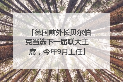 德国前外长贝尔伯克当选下一届联大主席，今年9月上任