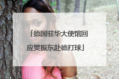 德国驻华大使馆回应樊振东赴德打球