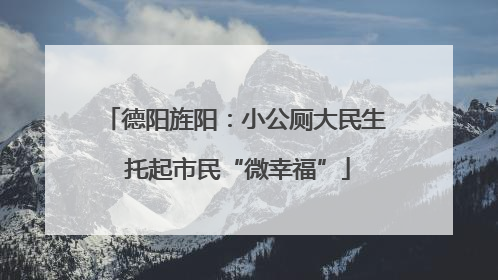 德阳旌阳：小公厕大民生 托起市民“微幸福”