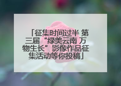 征集时间过半 第三届“绿美云南 万物生长”影像作品征集活动等你投稿