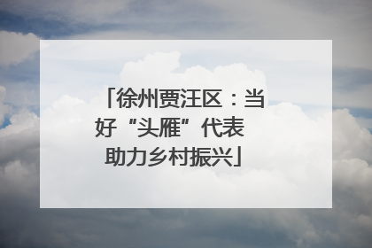 徐州贾汪区：当好“头雁”代表 助力乡村振兴