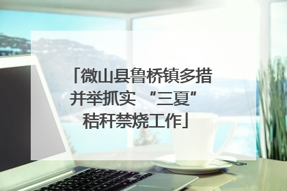 微山县鲁桥镇多措并举抓实 “三夏” 秸秆禁烧工作