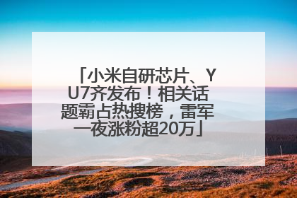 小米自研芯片、YU7齐发布！相关话题霸占热搜榜，雷军一夜涨粉超20万