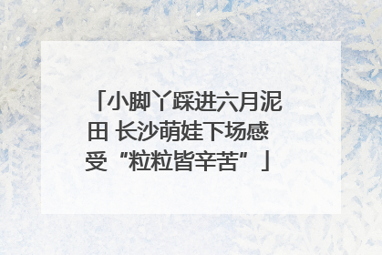 小脚丫踩进六月泥田 长沙萌娃下场感受“粒粒皆辛苦”