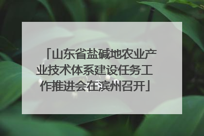 山东省盐碱地农业产业技术体系建设任务工作推进会在滨州召开