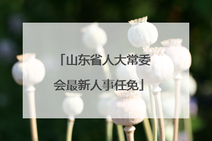 山东省人大常委会最新人事任免