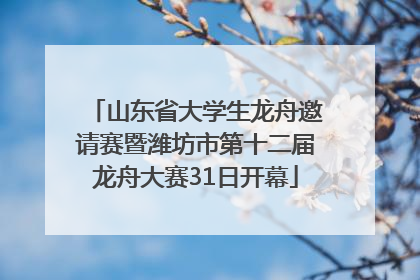 山东省大学生龙舟邀请赛暨潍坊市第十二届龙舟大赛31日开幕