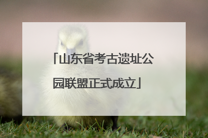山东省考古遗址公园联盟正式成立