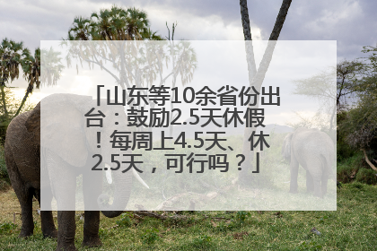 山东等10余省份出台：鼓励2.5天休假！每周上4.5天、休2.5天，可行吗？