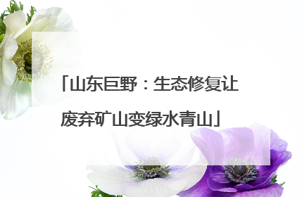 山东巨野：生态修复让废弃矿山变绿水青山
