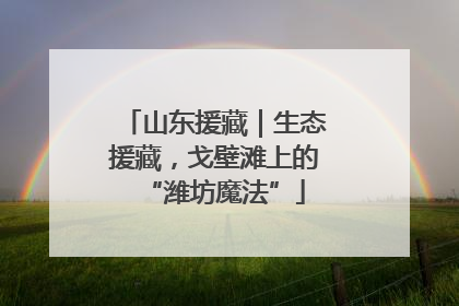 山东援藏｜生态援藏，戈壁滩上的“潍坊魔法”