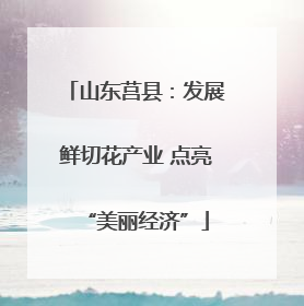 山东莒县：发展鲜切花产业 点亮“美丽经济”