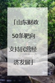 山东财政50条靶向支持民营经济发展