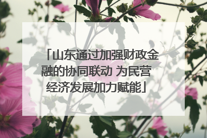 山东通过加强财政金融的协同联动 为民营经济发展加力赋能