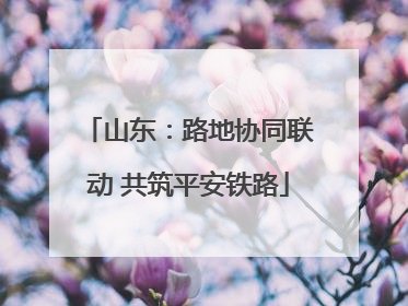 山东：路地协同联动 共筑平安铁路