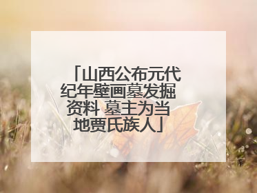 山西公布元代纪年壁画墓发掘资料 墓主为当地贾氏族人