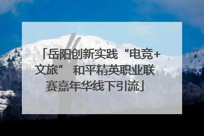 岳阳创新实践“电竞+文旅” 和平精英职业联赛嘉年华线下引流