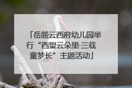 岳麓云西府幼儿园举行“西望云朵里·三载童梦长”主题活动