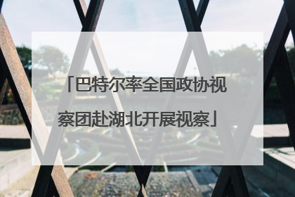 巴特尔率全国政协视察团赴湖北开展视察