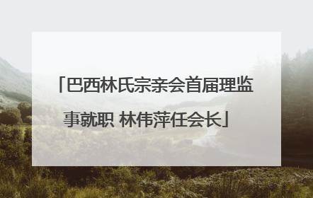 巴西林氏宗亲会首届理监事就职 林伟萍任会长