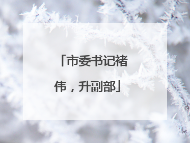 市委书记褚伟，升副部