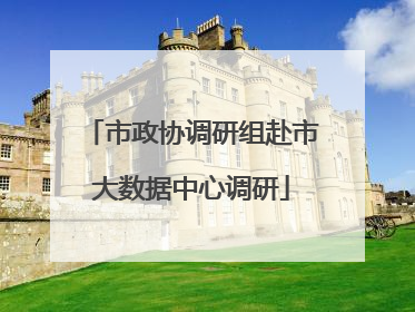 市政协调研组赴市大数据中心调研