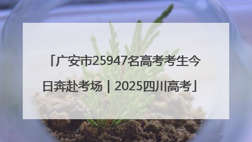 广安市25947名高考考生今日奔赴考场｜2025四川高考