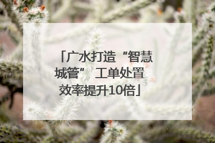 广水打造“智慧城管” 工单处置效率提升10倍