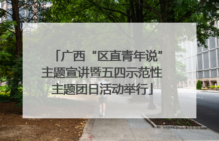 广西“区直青年说”主题宣讲暨五四示范性主题团日活动举行