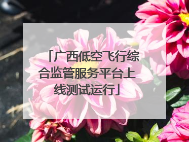 广西低空飞行综合监管服务平台上线测试运行