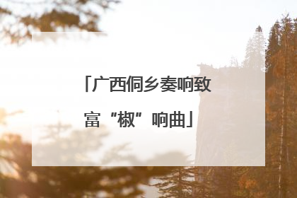 广西侗乡奏响致富“椒”响曲