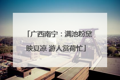 广西南宁：满池粉黛映夏凉 游人赏荷忙