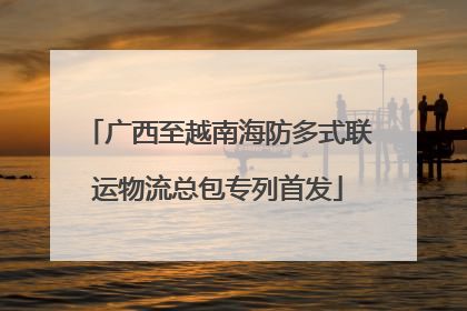 广西至越南海防多式联运物流总包专列首发