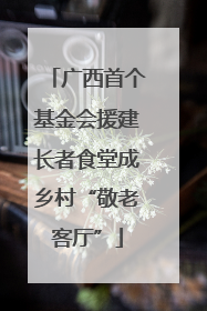 广西首个基金会援建长者食堂成乡村“敬老客厅”