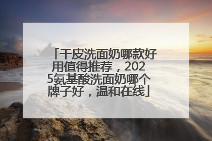 干皮洗面奶哪款好用值得推荐，2025氨基酸洗面奶哪个牌子好，温和在线