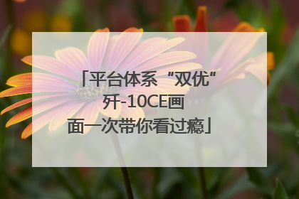 平台体系“双优”  歼-10CE画面一次带你看过瘾