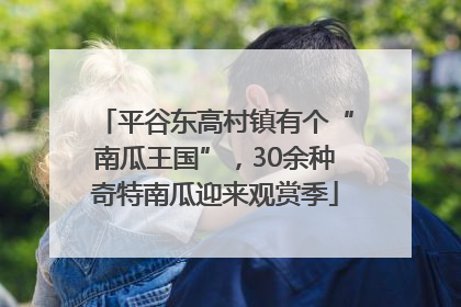 平谷东高村镇有个“南瓜王国”，30余种奇特南瓜迎来观赏季