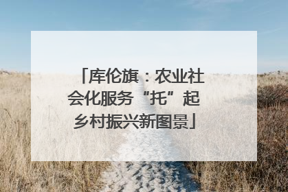 库伦旗：农业社会化服务“托”起乡村振兴新图景