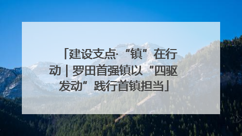 建设支点·“镇”在行动｜罗田首强镇以“四驱发动”践行首镇担当