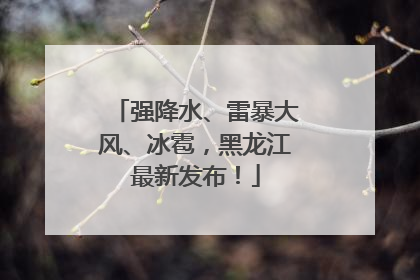 强降水、雷暴大风、冰雹，黑龙江最新发布！