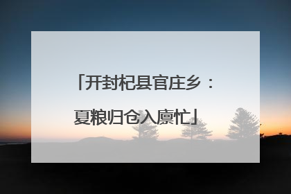 开封杞县官庄乡：夏粮归仓入廪忙