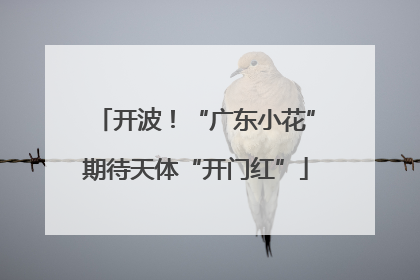 开波！“广东小花”期待天体“开门红”