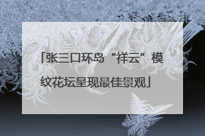 张三口环岛“祥云”模纹花坛呈现最佳景观