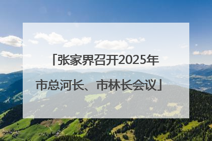 张家界召开2025年市总河长、市林长会议
